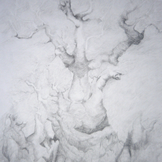 Féerique baobab