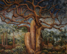 Baobab amoureux