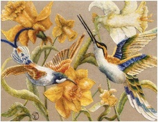 Narcisse et colibri 